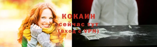 соль ск Бронницы