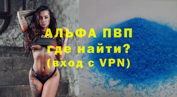 спиды Бородино
