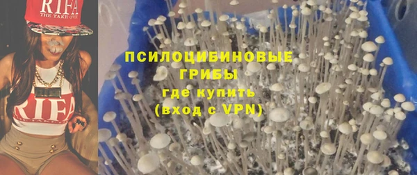 спиды Бородино