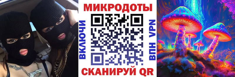 Галлюциногенные грибы Cubensis  мега tor  Грязи 